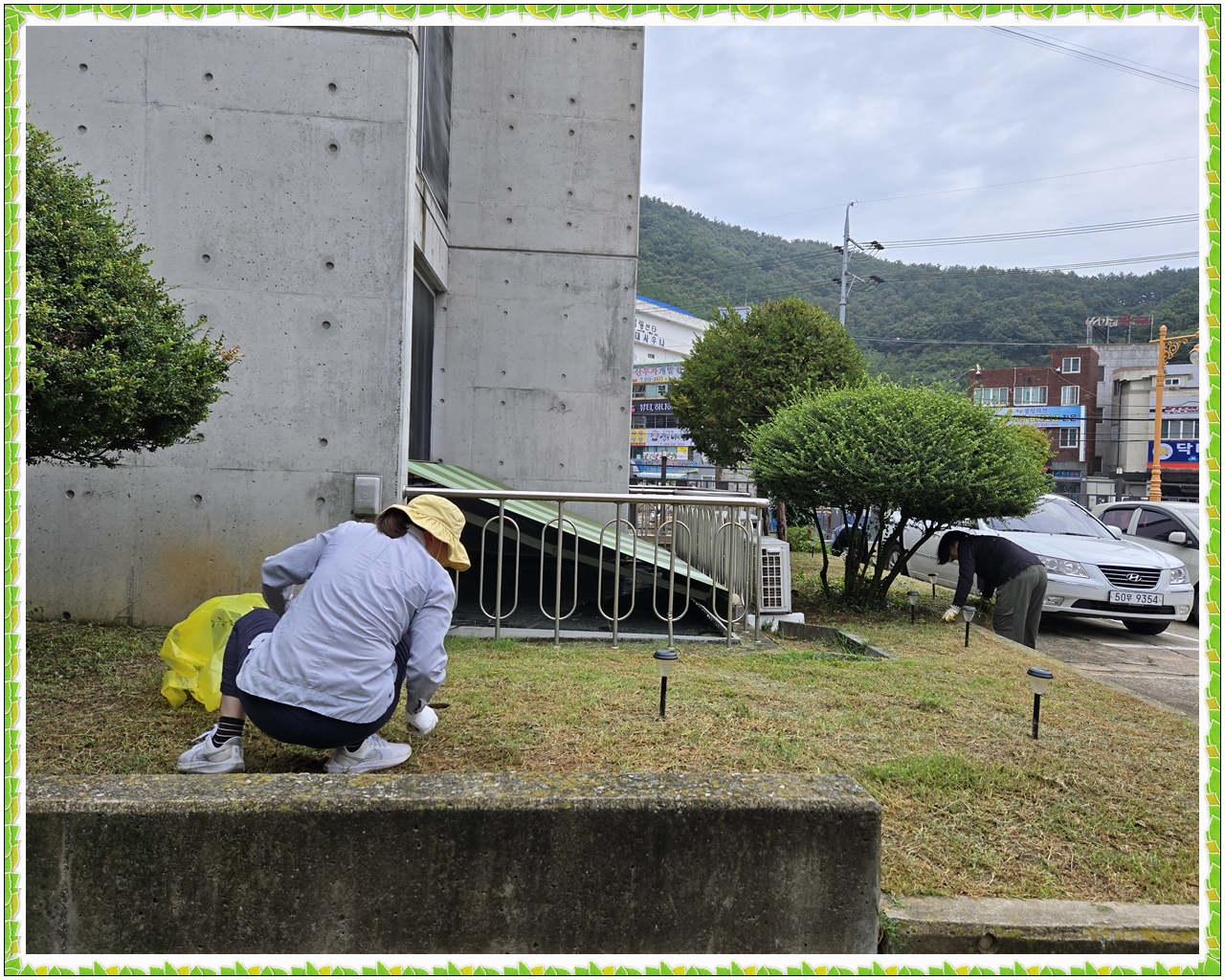 20240911-1.jpg