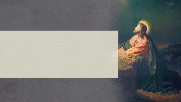 img.gif