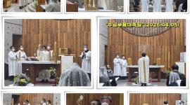 주님 부활 대축일(2026...