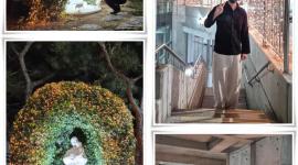 성탄 트리작업(2025.10...